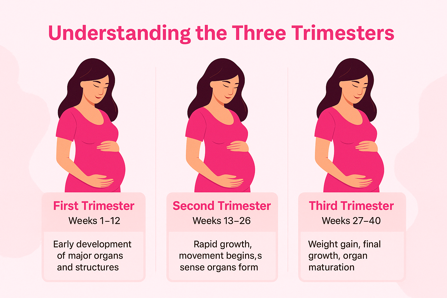Understanding Pregnancy Trimesters